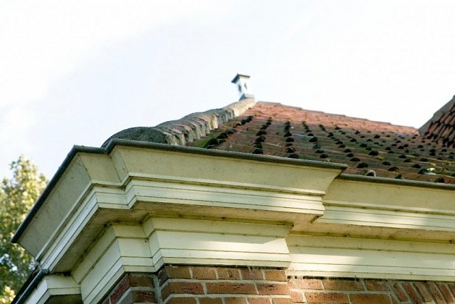 geprofileerde gootlijst